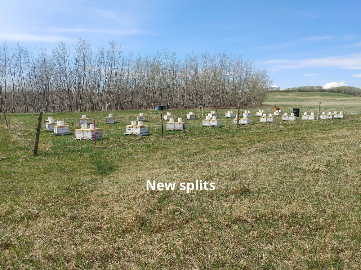 2021 Season photo 32